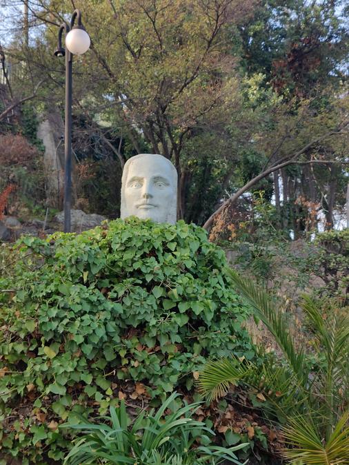 Statue of a head (Jesus) emerging from the bushes.